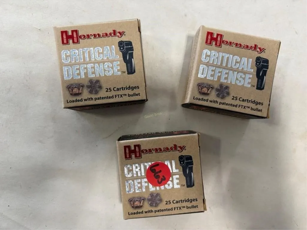 75 Rds Hornady 380 AUTO