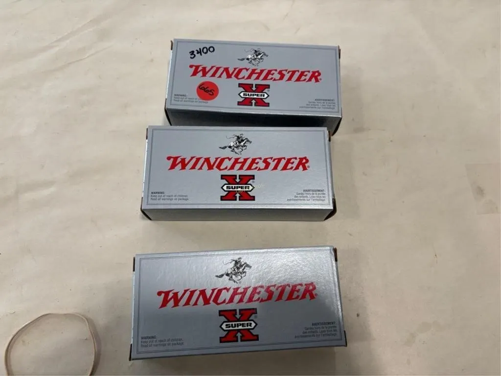 60-Rds Winchester 223 REM