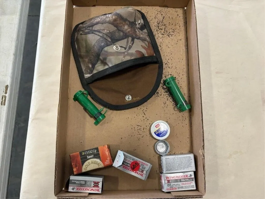 Misc 22 ammo & gun related items