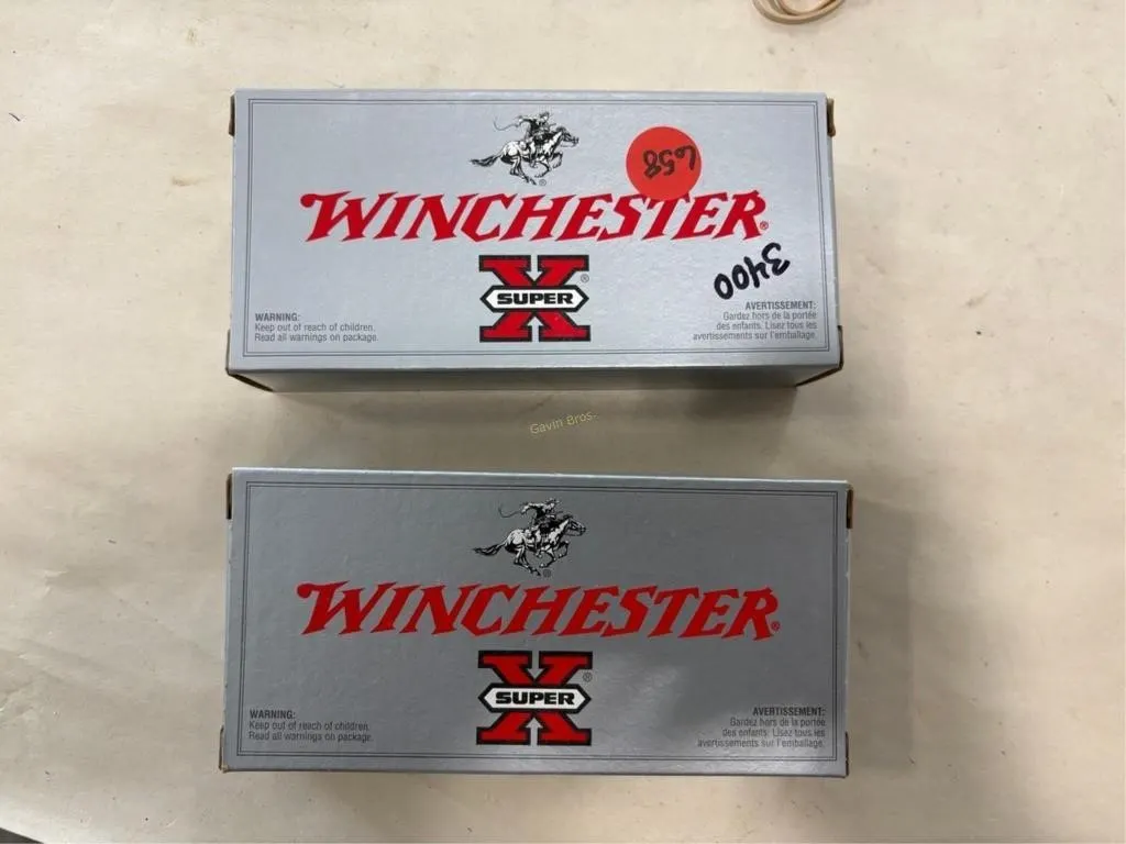 40-Rds Winchester 223 REM