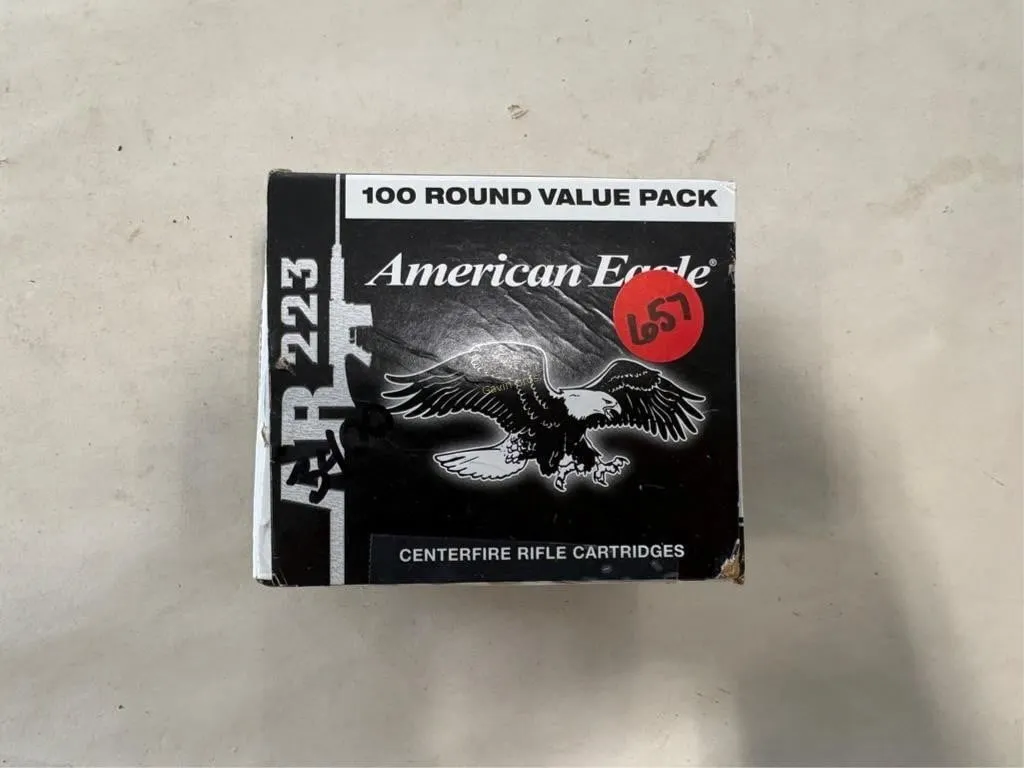 100-Rds Am Eagle 223