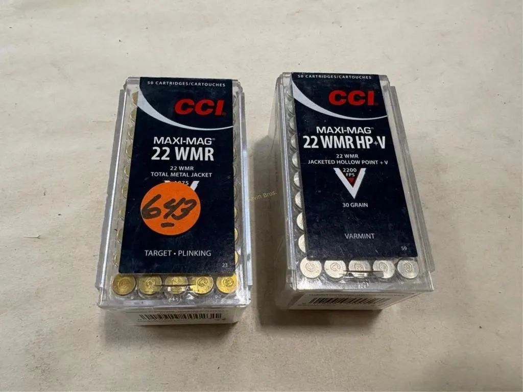 100-Rds CCI 22 WMR