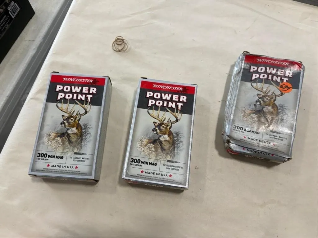 60-Rds Winchester 300 WIN Mag 180 grain