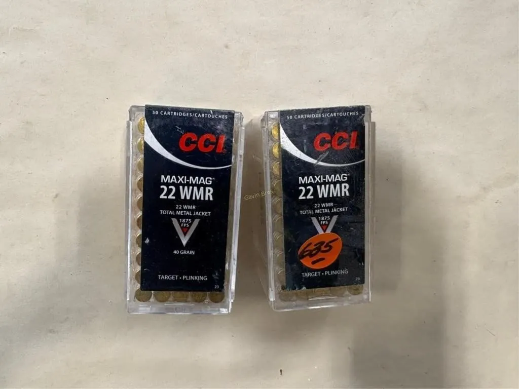 100 Rds 22WMR