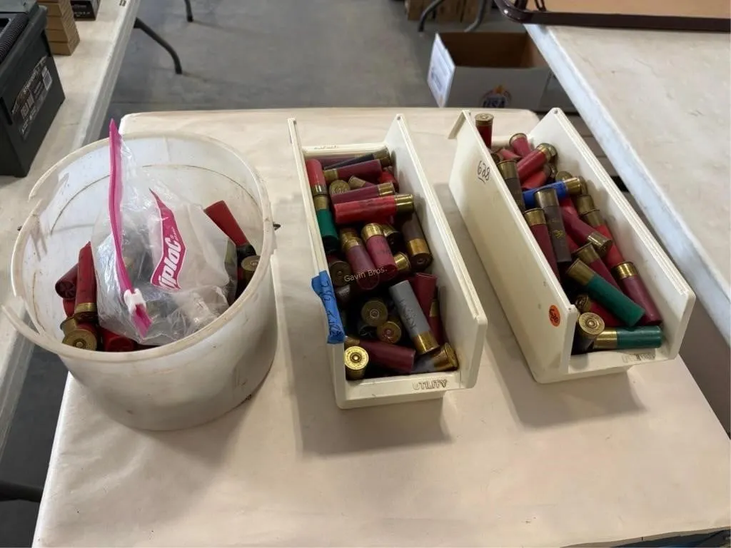 lot of 12 ga shot gun shells--some 10 ga
