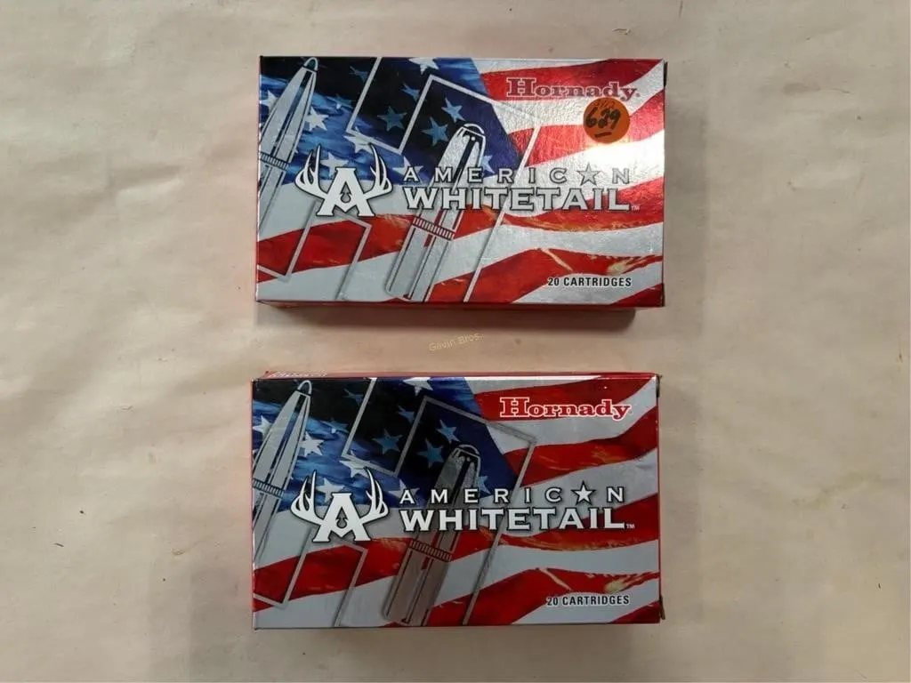 40-Rds Hornady 300 WIN MAG, 180 grain