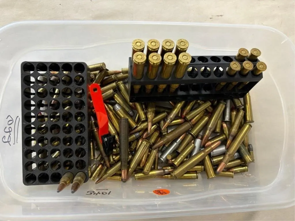 lot of various ammo