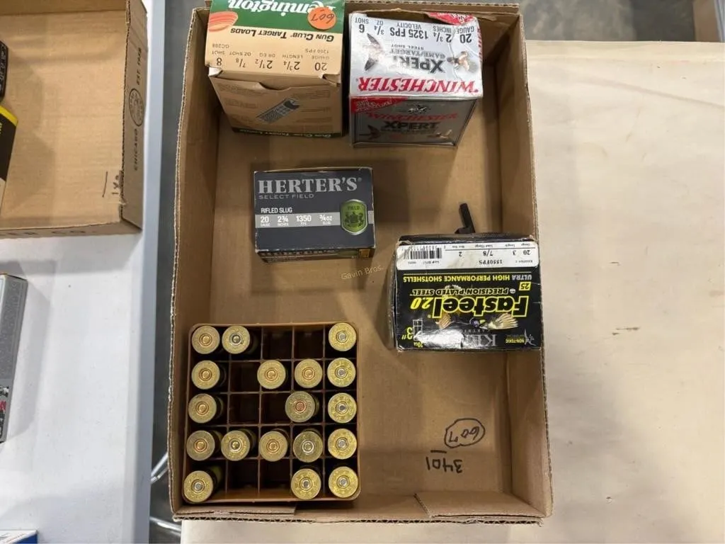 Quantity of 20 ga shot gun shells