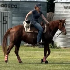 PEPPERS QUEEN CHERI 2021 AQHA CHESTNUT MARE