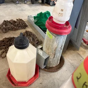 Chicken Feeders and Waterers