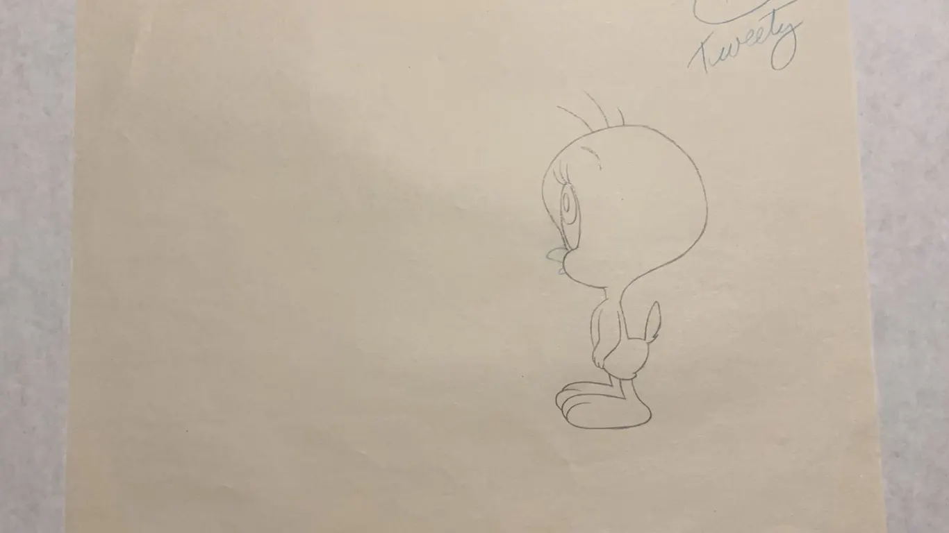 Warner Bros. Tweety Bird Animation Drawing