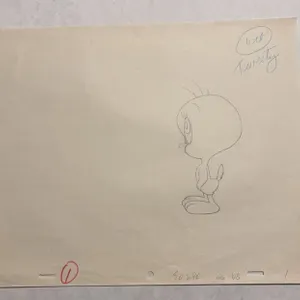 Warner Bros. Tweety Bird Animation Drawing