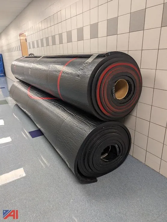(2) Sections of Wrestling Mats