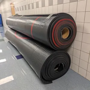 (2) Sections of Wrestling Mats