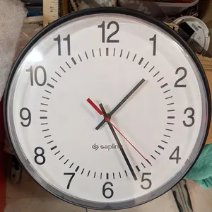 (10) Sapling Clocks