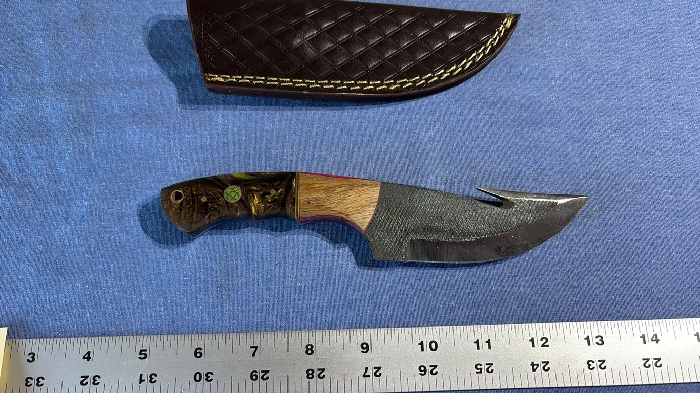 Damascus steel knife with gut hook