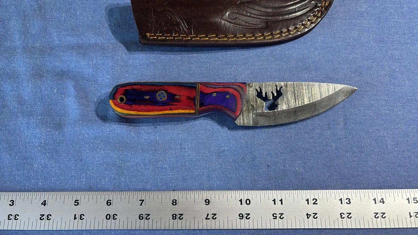Damascus steel knife