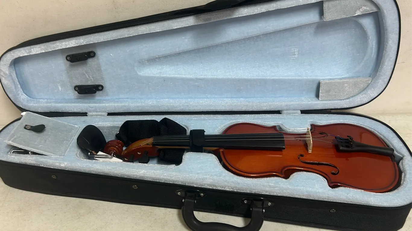 BEGINNER VIOLIN