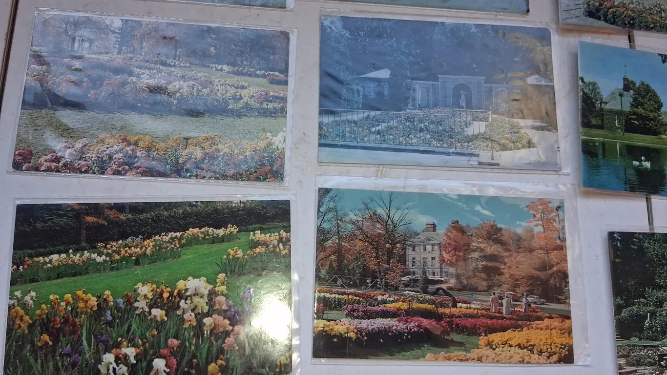 Vintage Kingwood Center Post Cards
