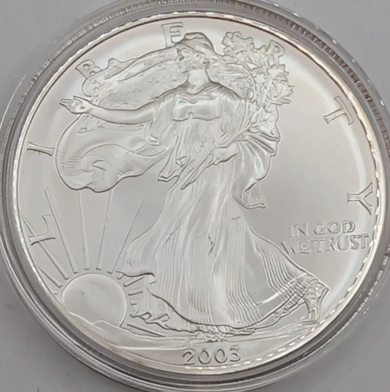 2003 $1 American Silver Eagle 1 oz Fine Silver Bullion – Brilliant Uncirculated (BU) Condition – Hou