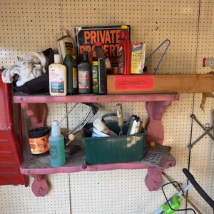 Content of the Shelf
