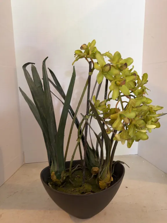 Fake Houseplant 21�
