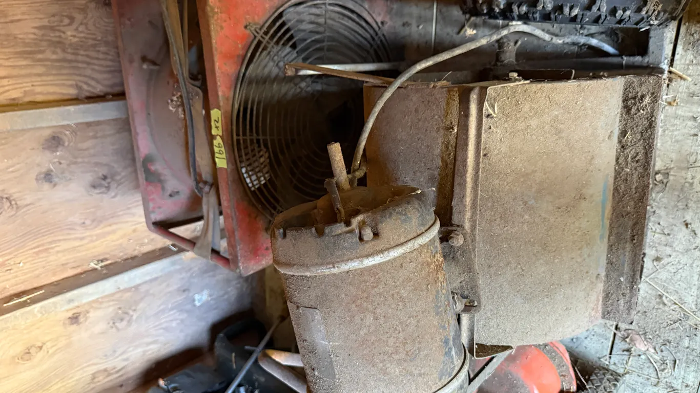 Squirrel cage fan and blower