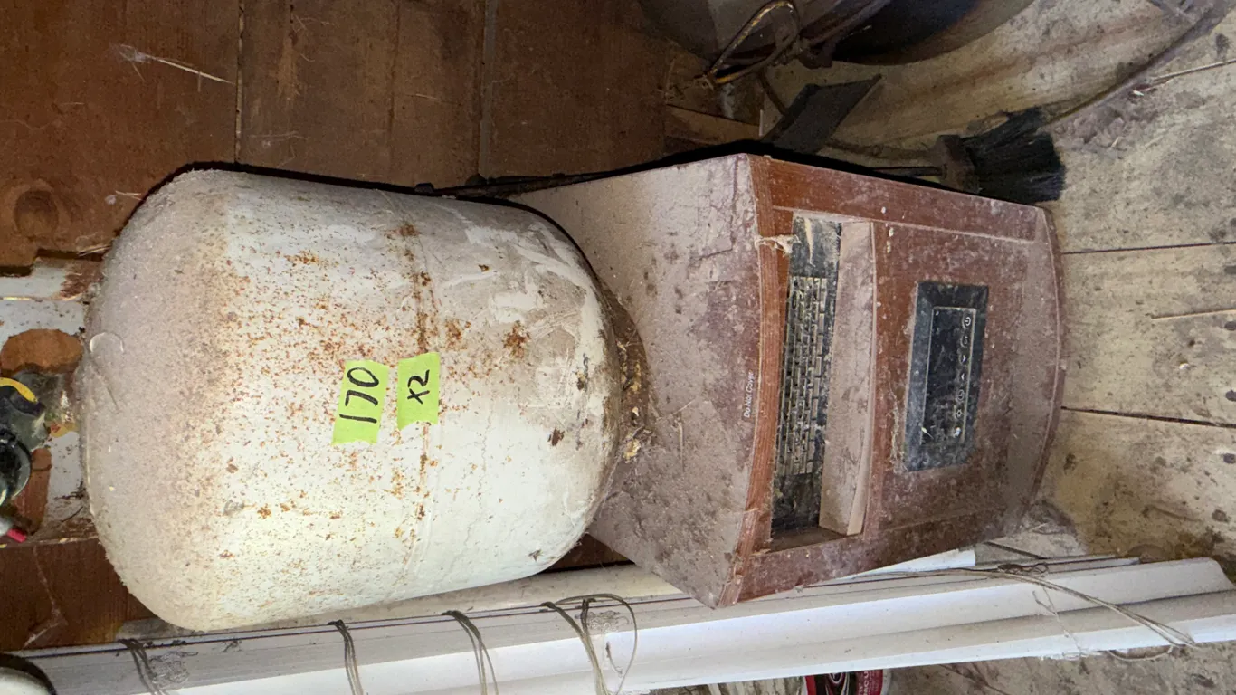 Electric heater and propane heater