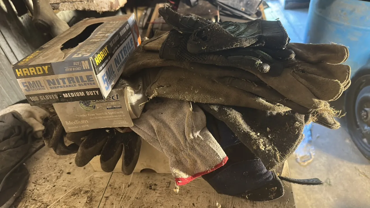 Pile of gloves