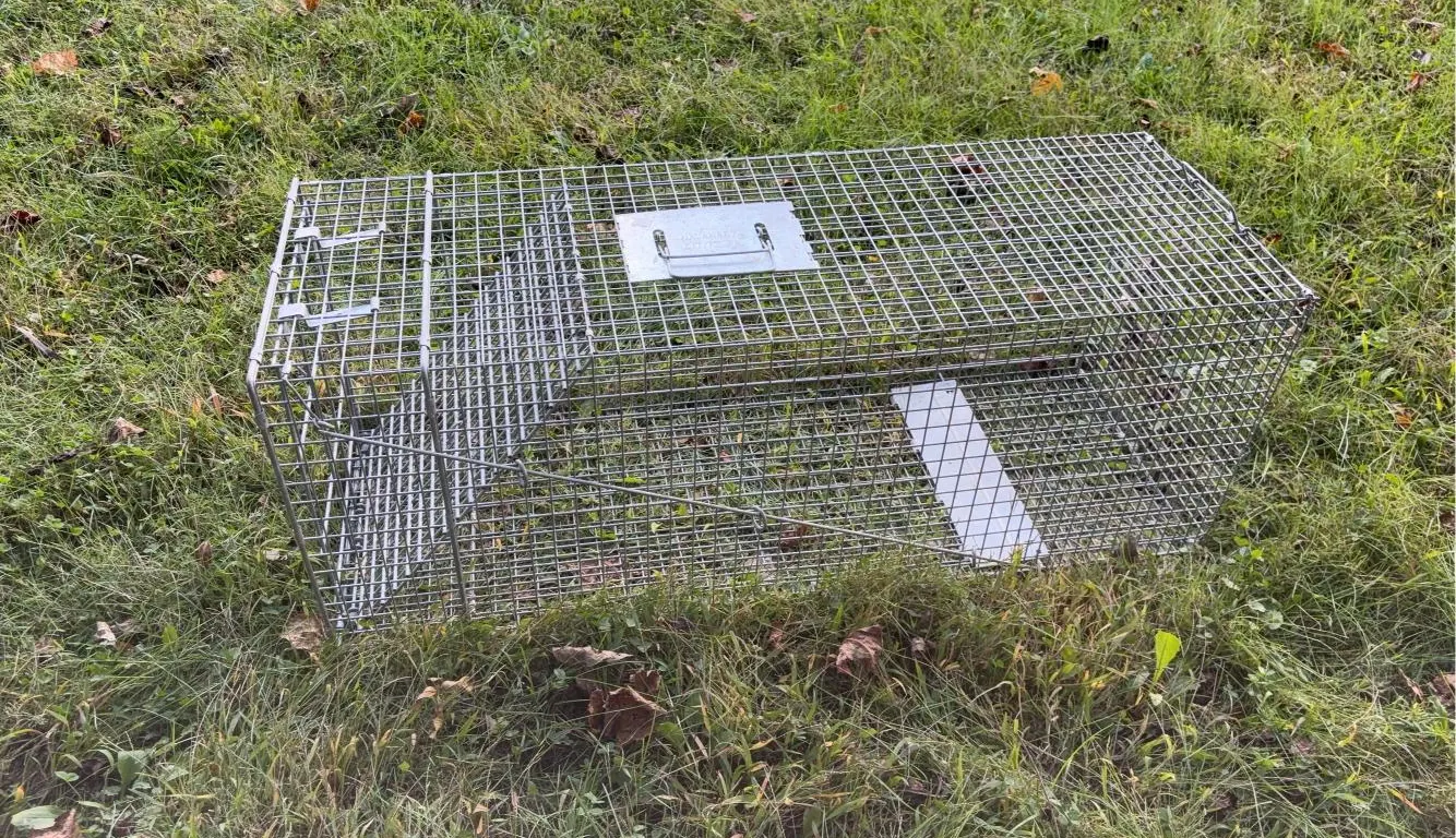 Live Animal Trap -43” Long