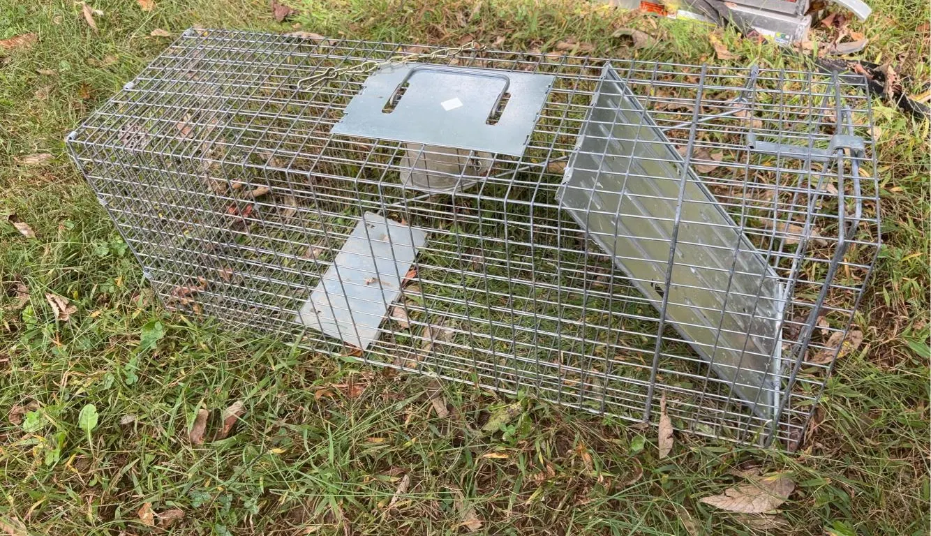 Live Animal Trap -32” Long