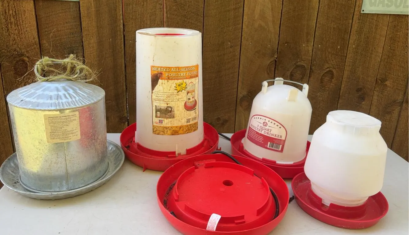Assortment Of Chicken Feeders & Drinkers Including Heated All-Season Poultry Fount & More