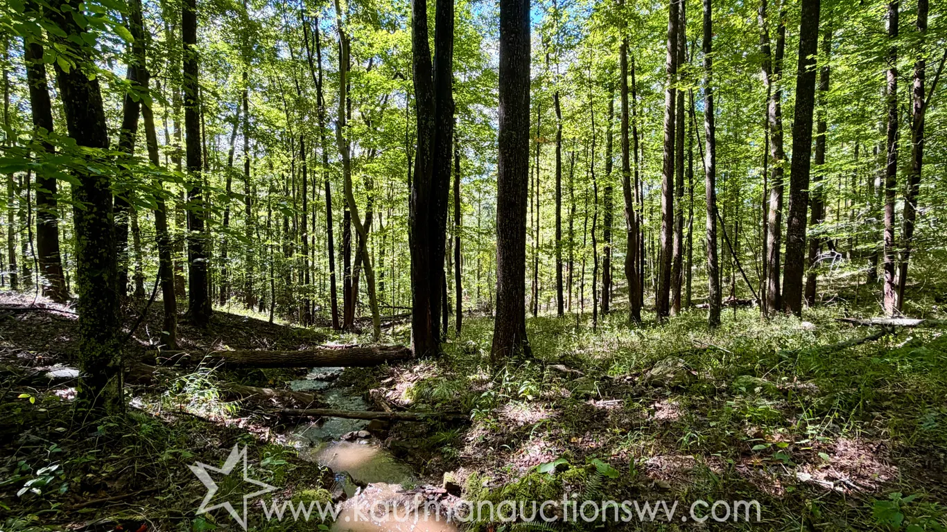 Parcel #1 - 39.49 +/- Acres