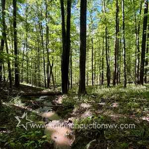 Parcel #1 - 39.49 +/- Acres