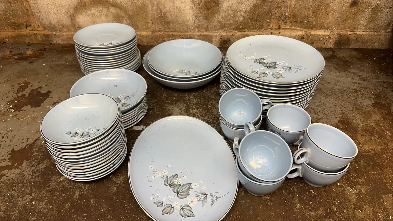 Taylor � Smith � Taylor plates, cups & saucers