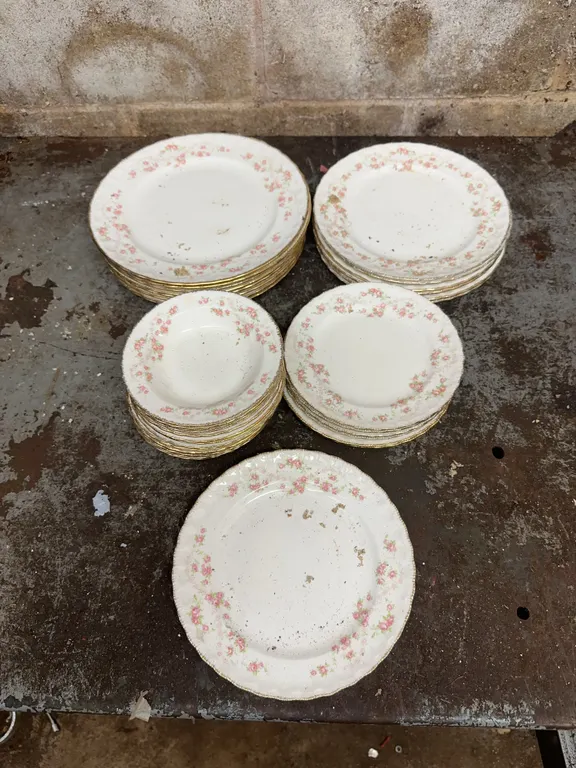 Pope-Gosser china plates & saucers