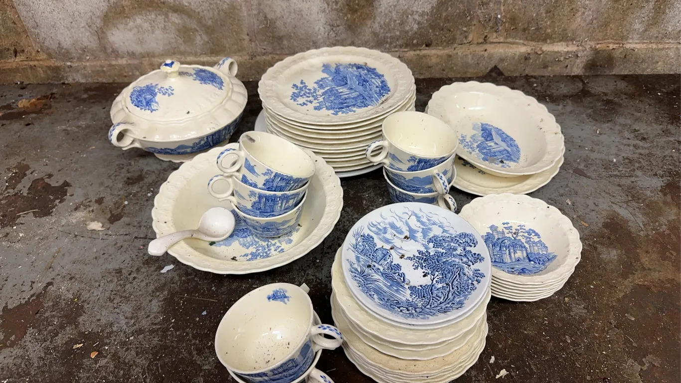 Taylor�Smith�Taylor plates, saucers cups & more
