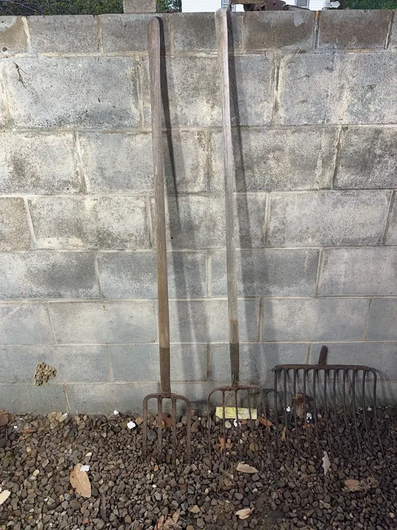 (3)- forks ( 1 is broken and missing the handle )