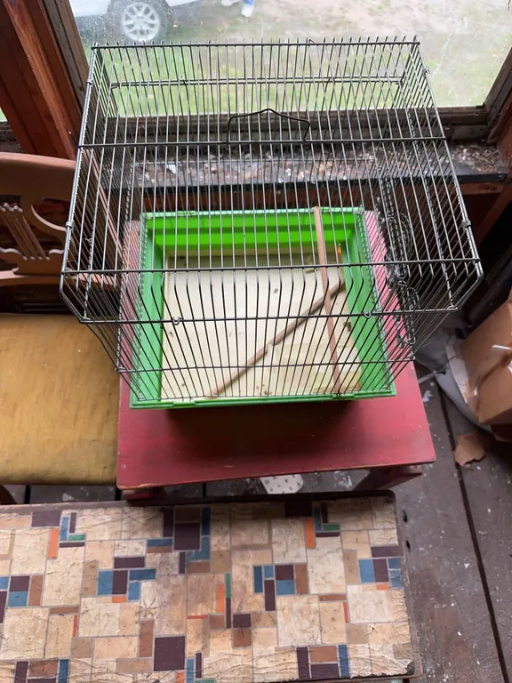 Table w/ swivel top, bench, chair & bird cage