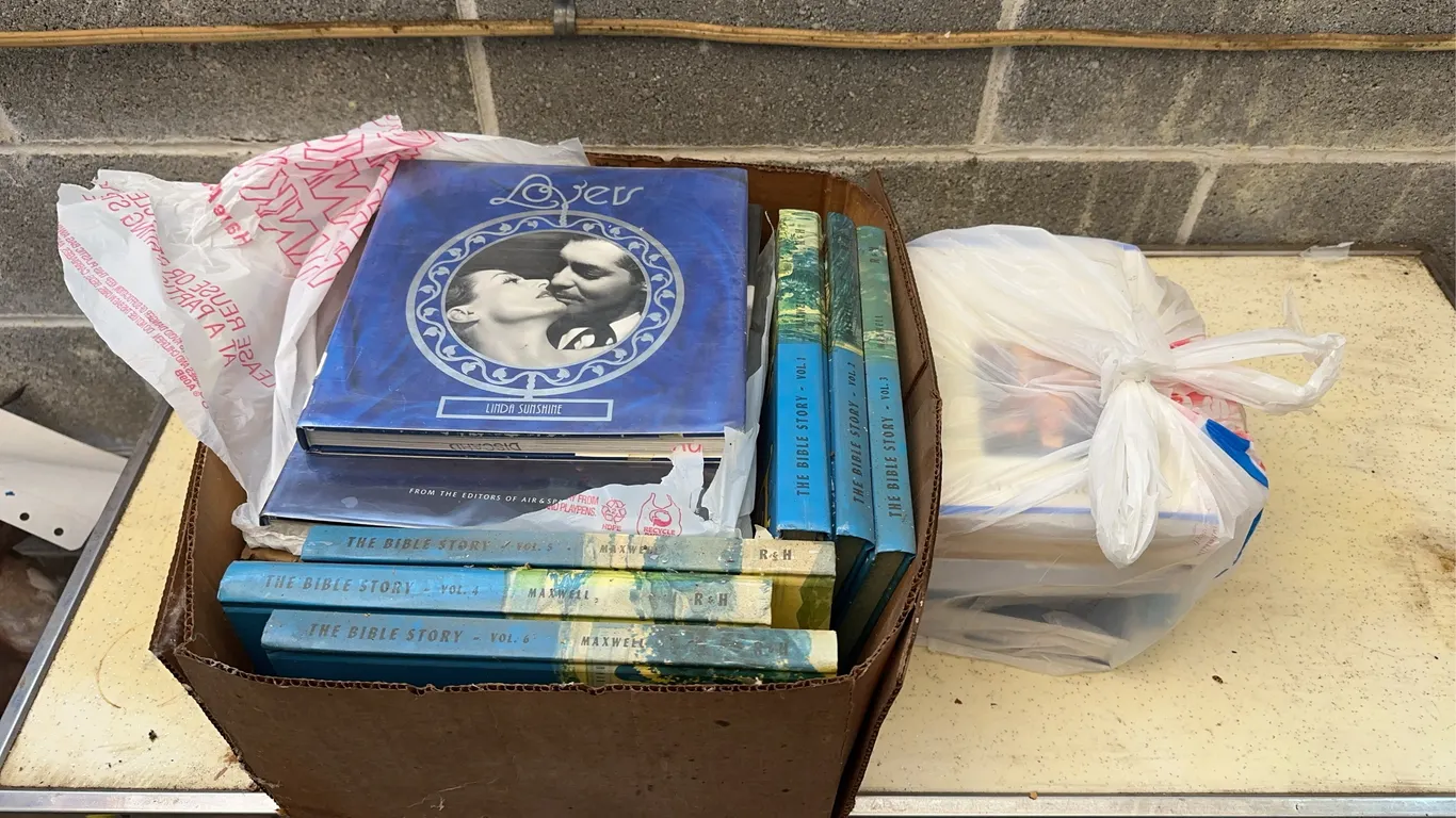 Bible story books & more