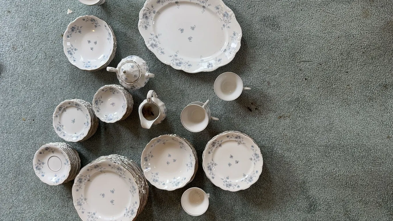 Johann haviland dishes
