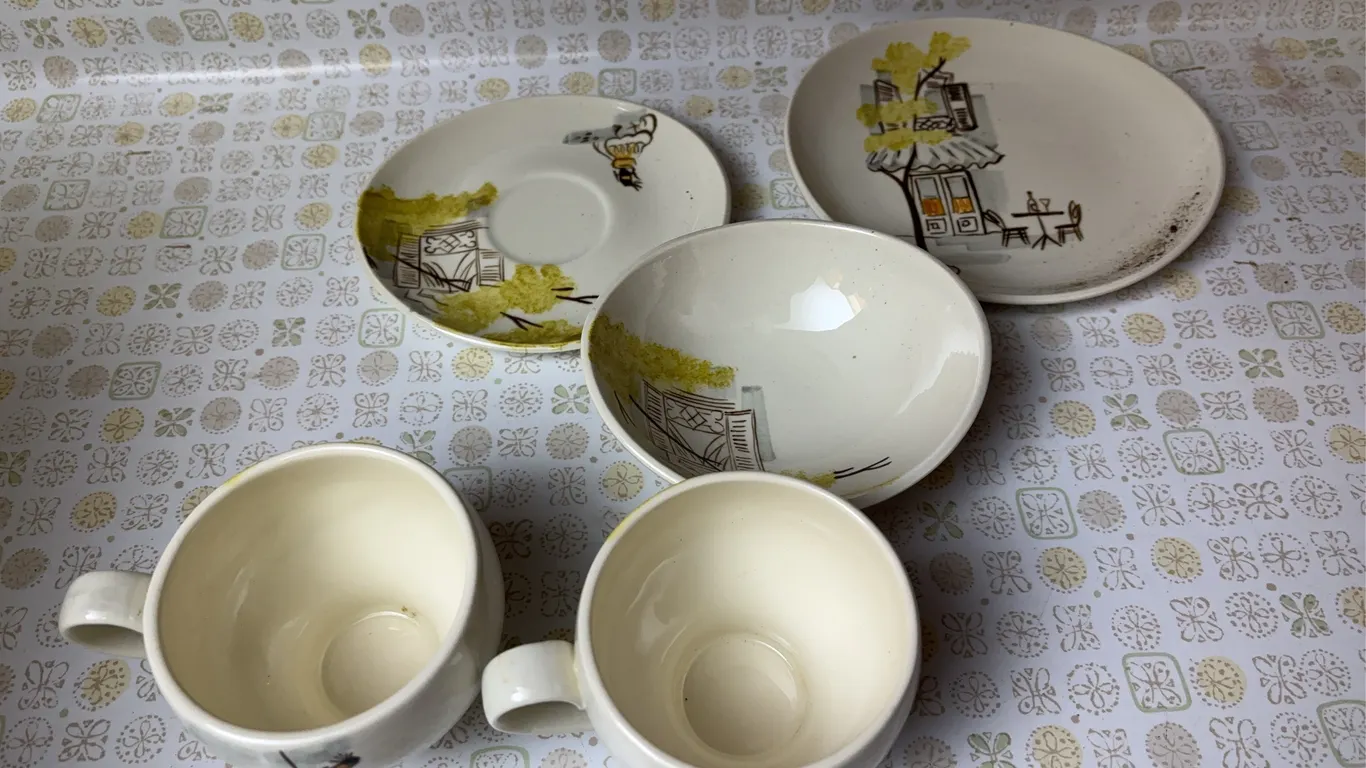 Red wing hand painted dishes