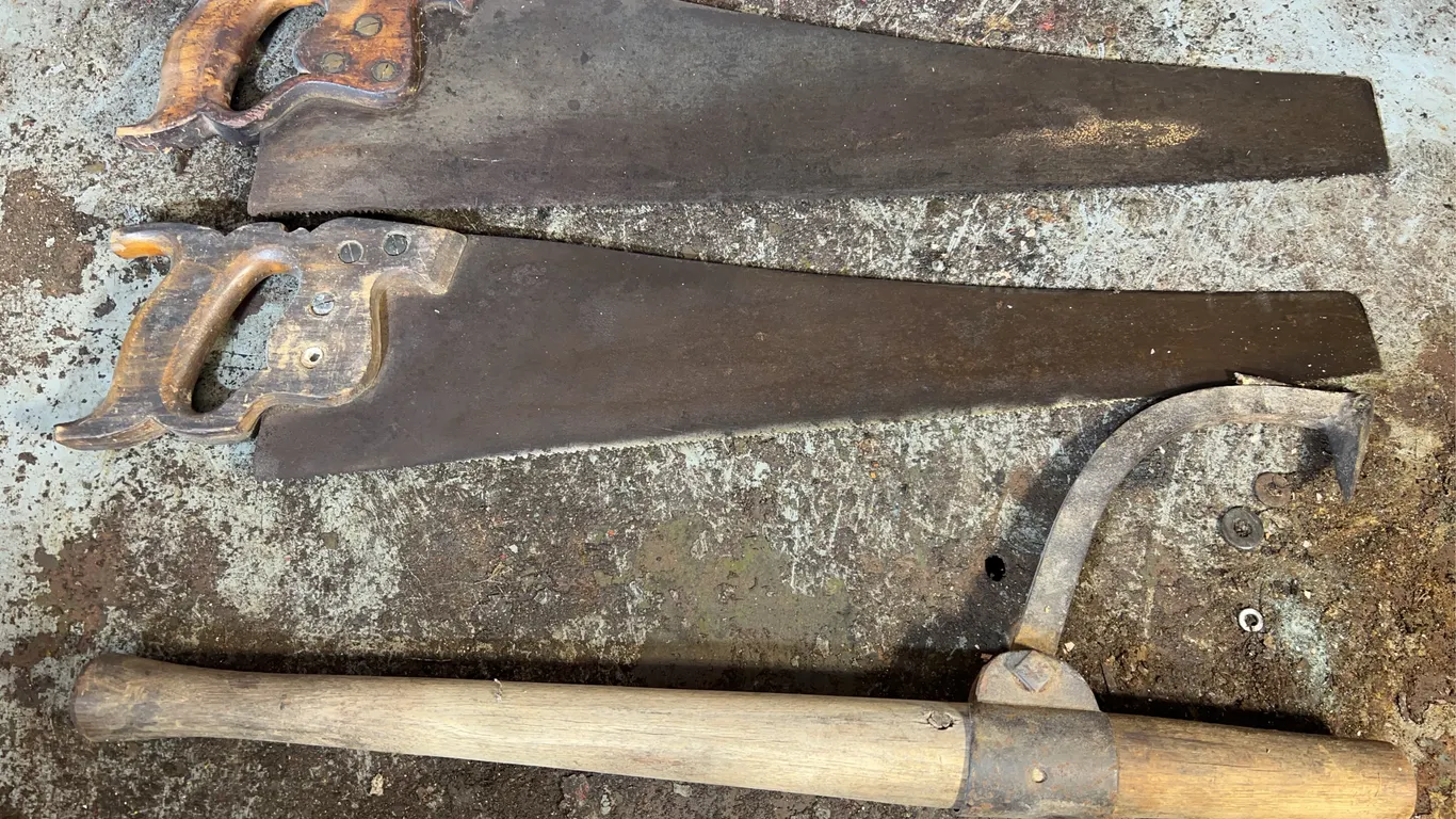 (2) Handsaws & Log Roller