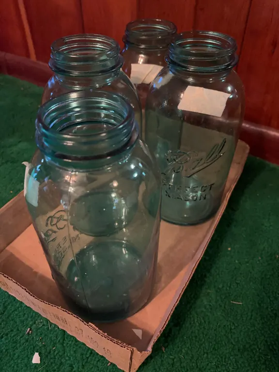 Blue 1/2 gal jars