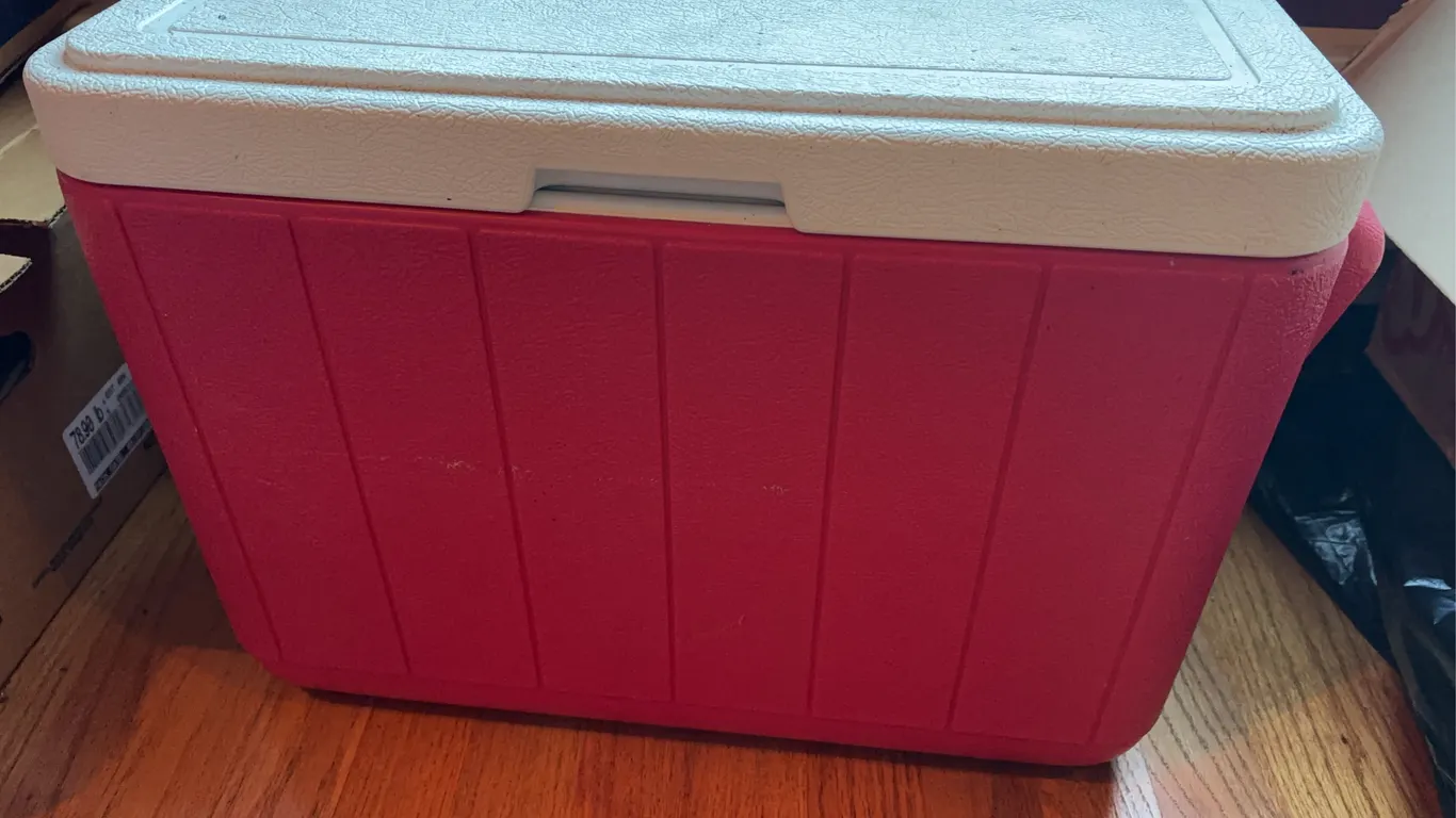 Coleman cooler, Christmas decor & more