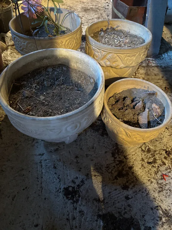 Planters