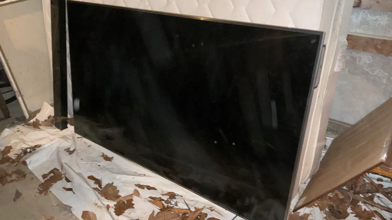 60" TV with speaker