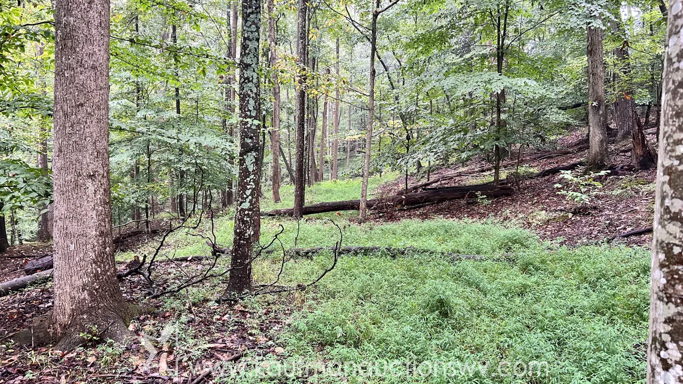 36.24+/-Acres with Public Utility's in Saint Albans WV