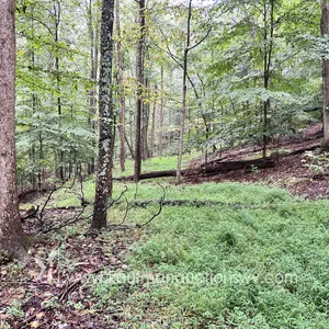 36.24+/-Acres with Public Utility's in Saint Albans WV