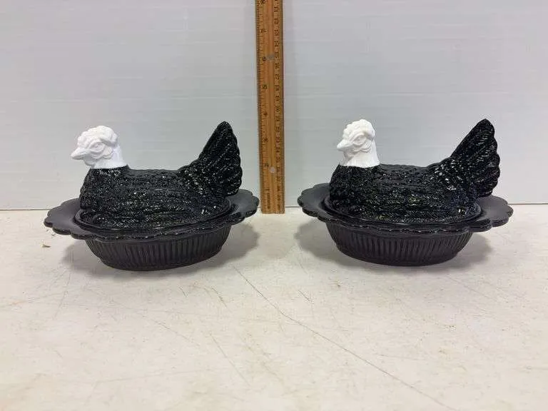 (2) Amethyst & white hens on a nest